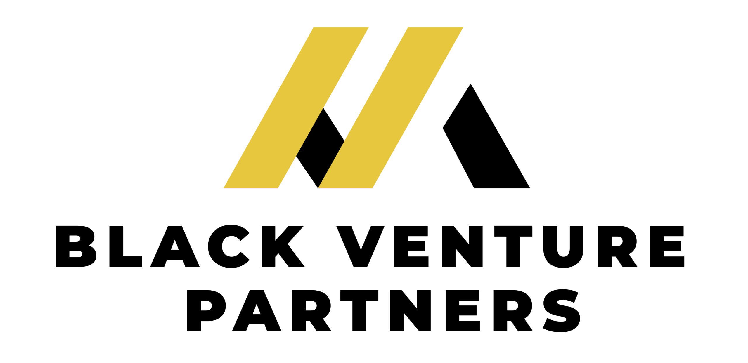 VenturePartner